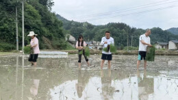 联手帮扶助春耕 订单种粮促振兴