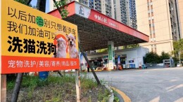 撸宠加能跨界融合——中国石化湖南石油在长沙首开2座宠物店
