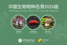 《中国生物物种名录2026版》新增3380个动物界物种