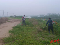 “汛”速行动︱五措并举筑牢防汛“安全堤”，大通湖区千山红镇全力打好备汛主动仗