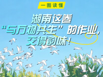 一图读懂丨湖南这卷“与万物共生”的作业，交得韵味！