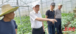 “红霜土”上长出“新希望”---君山三位银发专家的田间攻关记