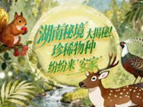 湖南“秘境”大揭秘！珍稀物种纷纷来“安家”