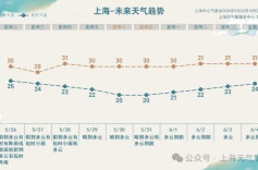 上海今日降水频繁，傍晚前仍有阵雨或雷雨！体感闷热，网友：没到黄梅胜似黄梅