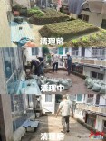 “空中菜园”惹纠纷，汨新社区巧妙化解护安全