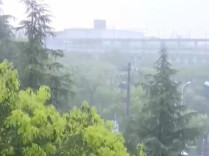 为何今年暴雨来得又早又猛？专家解读