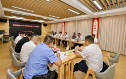 陈澎到桑植县下沉接访