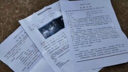 特别的爱给特别的你②|奔赴千里，重启健康心跳