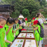 怀化市开展生物多样性日中小学生主题公益活动