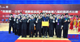 多才多艺 能文能武，怀化职院学子又拿奖了