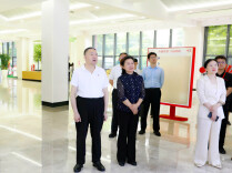 毛万春专题调研中非跨境电商工作