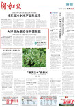 大祥区为退役老兵铺新路  | 湖南日报市州头条
