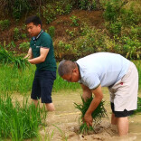 抢抓农时不负春！洪江市高山村干群合力忙插秧
