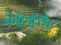 《山里有信》丨第六届“守住钱袋子，护好幸福家”防范非法金融活动短视频征集大赛（湖南赛区）最佳传播奖作品③