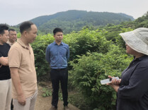 深耕企业服务年 精准助企拓市场