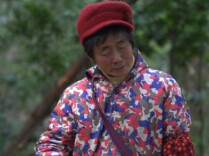 视频：独臂奶奶替子还债   信义善举温暖山乡