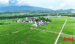 和美乡村入画来