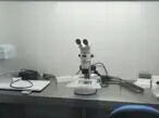 记者暗访非法代孕点遭拖拽致骨折，中国记协高度关注
