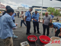 十年禁渔：联勤联动查市场，东安多部门筑牢“岸上防线”