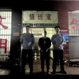深夜“黑手”终落网，溆浦公安破获一起“拉车门”盗窃案