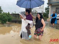 临湘市坦渡镇：干群同心筑牢防汛堤坝 全力守护群众生命财产安全