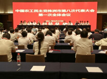 农工党株洲市第八次代表大会召开 李文灿当选主任委员