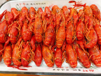 虾鲜密语——西湖稻野寻虾记