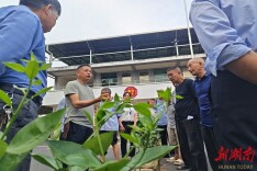 农技送田间