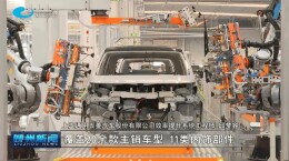 一根翠竹，如何变身汽车内饰部件？