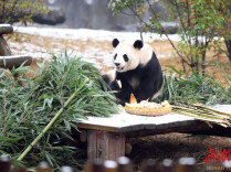 “六一”儿童节带孩子去哪里？湖南这些地方趣味多、福利多