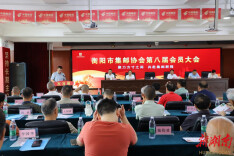 衡阳市集邮协会第八届会员大会召开 新一届理事会选举产生会长、副会长、秘书长