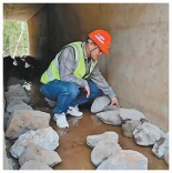 这条公路，如何让骑行者、游客和小动物各行其道？