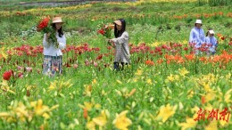 乡村游带动乡村消费