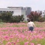 怀化：闲置土地“活”了 城市生活“美”了