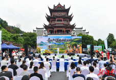 近百支青年主播团队齐聚安化，帮销200多款农特产品、推介当地文旅资源