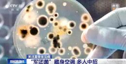 周末·提醒丨开一晚上空调，突然高烧不退！医生提醒→