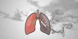 香烟“自白”：我是如何毁掉健康的｜世界无烟日