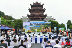 金健米业亮相“青耘中国”直播助农湖南专场 以国企担当赋能乡村全面振兴