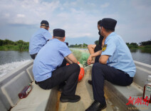 多部门联动“清网”亮剑，大通湖区金盆镇绘就水清鱼跃生态画卷