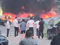 大连七旬男子点燃杨絮，导致20辆新能源汽车被烧毁！