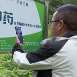 怀化：中药材产业延续高增长态势 一季度产值增长15.4%