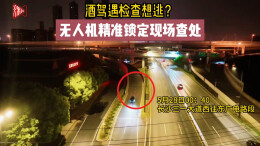 无人机“上线”破案！长沙一司机刚想靠边停车逃避检查，下一秒就被锁定