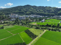 从“薄弱村”到“百万强村”！看洪江市这个社区如何用党建钥匙打开产治融合密码