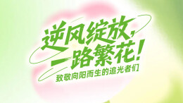 逆风绽放，一路繁花