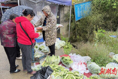 三堂街镇九峰村：商贸集散添动能，党群阵地激活“赶集”经济