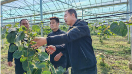 瞄准高素质，精准施教促振兴——湖南大力培育高素质农民观察