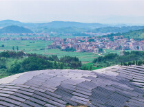 Forest-photovoltaic Complementary Model Boosts Rural Development