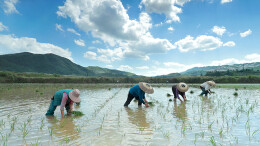 奏响夏耕协奏曲