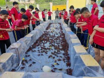 衡山县长江文武学校：童真夏日 “鱼”乐无穷