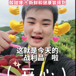 微视频｜从树上摘下来就能直接吃！用镜头带你看看靖州的新鲜杨梅